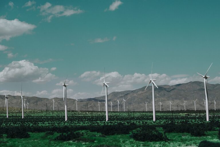 Parc éolien illustrant la décarbonation industrielle au Maroc